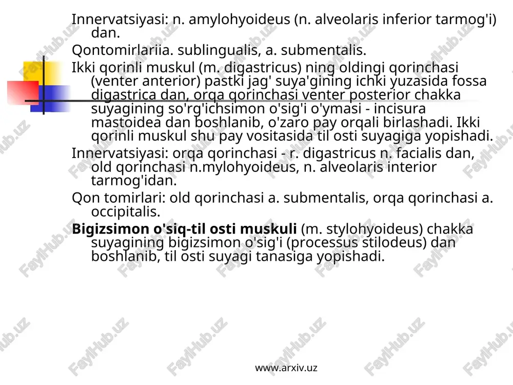 uskulini (m. platysma) o'rab, yuqoridan yuz fassiyasiga, pastdan ko'krak fassiyasiga o'tib ketadi. bo'yin xususiy fassiyasining yuza varag'i (lamina superficialis fascia colli propria) pastki jag' bilan to'sh suyagi dastasi va o'mrov suyaklari oralig'ida tortilib joylashib, bo'yinni hamma tomondan o'rab turadi. www.arxiv.uz www.arxiv.uz bosh muskullari bosh muskullari mimika va chaynov muskullaridan tuzilgan. mimika muskullari o'zining suyakdan boshlanib teriga yopishishi bilan boshqa muskullardan farq qiladi. binobarin mimika muskullari qisqarib yuzda har xil o'zgarish (holat) larni vujudga keltiradi. bundan tashqari, mimika muskullari so'zlash, chaynash jarayonida faol qatnashadi. yuzning mimika muskullari aksariyat og'iz, ko'z, burun va quloq atrofida joylashib, ularning torayishi (sfrnkterlar) yoki kengayishi (dilatatorlar) ni ta'minlaydi. kallaning tepa qismi kalla tepasi muskuli (m. epicranius) bilan qoplangan bo'lib, ensa-peshona muskuli va aponevrozdan iborat. www.arxiv.uz www.arxiv.uz paydalanilg’an a’debiyatlar: n. k. ahmedov b. boxadirov www.ziyonet.uz www.google.uz www.arxiv.uz www.arxiv.uz
