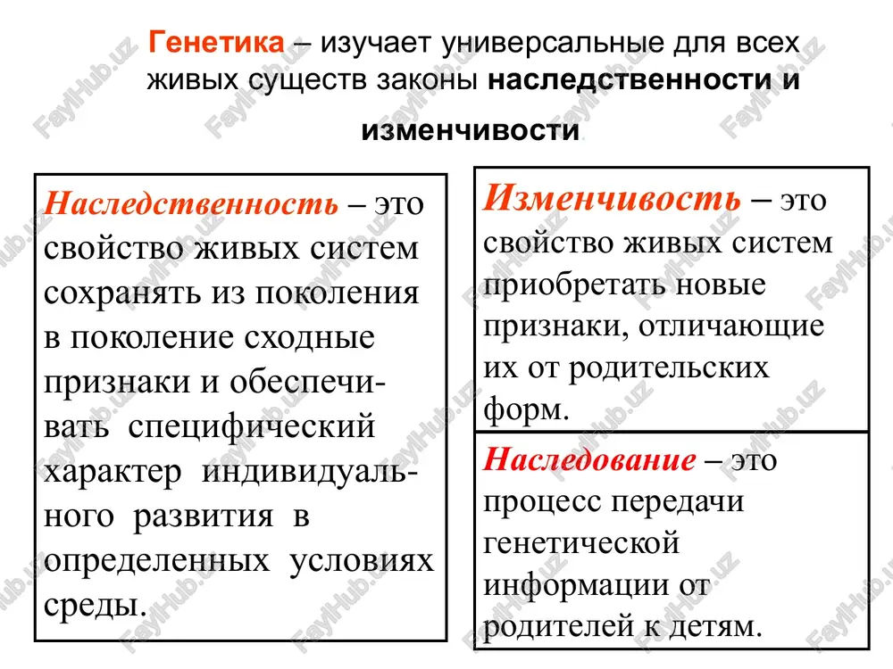 nakov. yavlyaetsya osnovopoljnikom genetiki pola. laureat nobelevskoy premii 1933 goda. xromosomniy kompleks samtsa i samki drozofili samets drozofili: 6+ xy samka drozofili: 6+ xx nasledovanie genov okraski tela i formi krilev u drozofili priznak gen genotip seraya okraska tela b bb, bb chyornaya okraska tela b bb normalnaya dlina krilev v vv, vv korotkie krilya v vv no t. morgan v svoix opitax poluchil sleduyushie rezultati: f1 bbvv x bbvv gameti: bv bv bv f2 bbvv bbvv seroe telo dlin. krilya 50% chernoe telo korot. krilya 50% eti rezultati pokazivayut, chto stseplenie genov lokalizovano v odnoy xromosome i nasleduetsya iz pokoleniya v pokolenie, takoe stseplenie nazivaetsya polnim stsepleniem stseplenie genov analiziruyushee skreshivanie po mendelyu: f1 bbvv x o bb vvo + gameti: bv bv, bv, bv, bv f2 bb vv bb vv, bb vv, bb vv seroe telo dlin. krilya 25% seroe telo korot. krilya 25% chernoe telo dlin. krilya …
