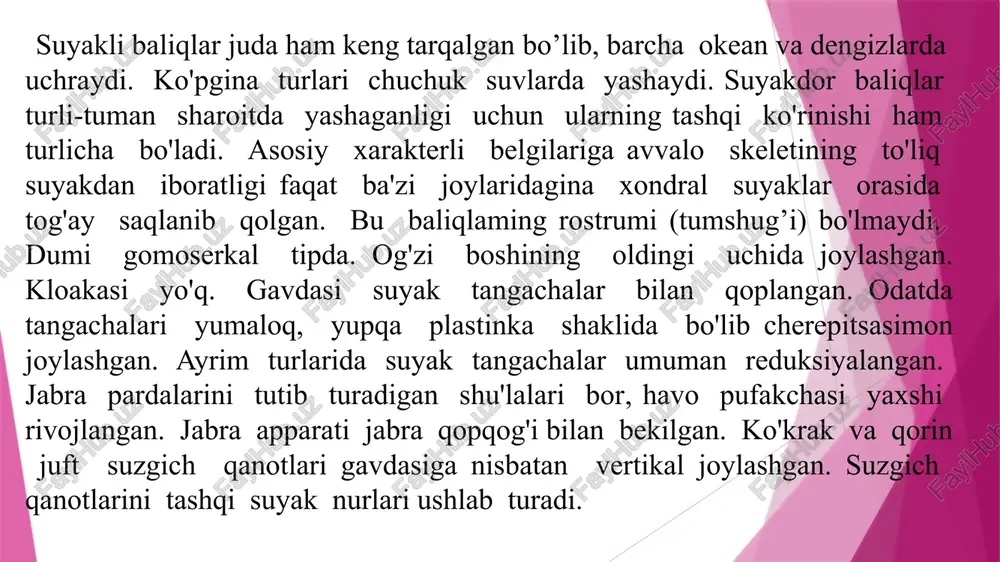 lari bor. ular zog'ora baliq miya qutisining har tomonidal to‘rttadan joylashgan. miya qutisining old qismidagi ko‘z bo'limida ko‘zlararo to'siq hosil qilishda ishtirok etuvchi suyakli baliqlarning ko'pchiligida tog'ayligicha qoladigan ponasimon suyaklar yoki sfenoidlar yotadi. chunonchi: toq asosiy ponasimon suyak, juft qanot-ponasimon suyak va juft ko'z-ponasimon suyak bo'ladi. miya qutisining oldingi qismi, ya’ni hid bilish bo'limini. odatda ko'p qismi tog'av holicha qoladigan hid bilish suyaklari tashkil etadi. bu bo'limda bitta oraliq hid bilish suyagi bo'ladi. bu suyaklaming hiammasi kelib chiqishi jihatidan xondral (birlamchi) suyaklardir. miya qutisini ustki va ostki tomondan qoplovchi suyaklar kelib chiqishi jihatdan qoplagich ikkilamchi suyaklardir. vesseral skelet. suyakli baliqlarning visseral yoylari ham xuddi akulalarning visseral yovlariga oxshash. ularda ham jag‘ yoyi, til osti yoyi va jabra yoylari bo'ladi. ja’g yoyi birlamchi va ikkilamchi jag’lardan iborat. birlamchi jag’ xondral suyaklardan tashkil topgan, akulaning tanglay-kvadrat va mekkel tog’aylariga tamomila gomologdir. ustki jag'da ular oldingi qism uchida joylashgan bir juft tanglay suyak …
