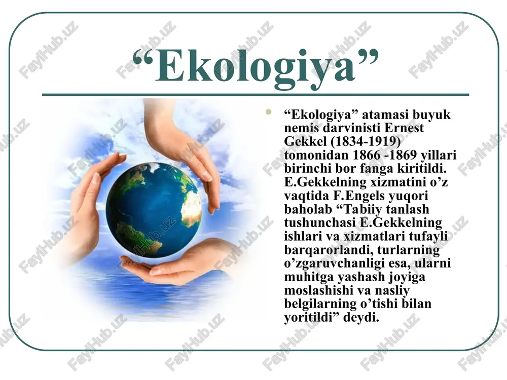 ekologiya haqida tushuncha - Page 4