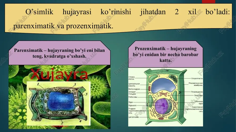 . asamov d.k., byeknazarov b.o. safarov k.s. o‘simliklar fiziologiyasidan amaliy mashg‘ulotlar (o‘quv qo‘llanma.) toshkent “universiteti” 2004 y. e’tiboringiz uchun rahmat!!! crenka nee xnoponnacr ueerpanehan mhasmariueckan baryon membpana mutoxohapan annapar g tnasmogecma toneaa pubocams sws0comtt papo 3 oona napa aapewko thanynapwaa taakaa angonnaemariueckaa angonnaamateckas. j z cere cet uvronnacna memopana karemounaa cmenka (2) depositphotos image id: 131709632 | www.depositphotos.com lizosomaning tuzilishi hanya _ mentone ses