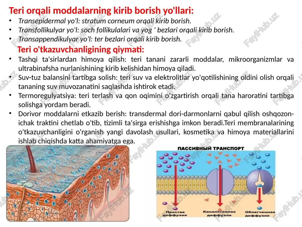 teri orqali metabolizmni tekshirishning invaziv bo'lmagan usullari sog'liqni saqlash diagnostikasi va monitoringi qulay. keyinchalik sezgir va o'ziga xos usullarni ishlab chiqish va metabolik profil ma'lumotlar bazalarini yaratish uchun qo'shimcha tadqiqotlar talab etiladi. potentsial va istiqbollar: kasalliklarni erta tashxislash: teri metabolizmidagi o'zgarishlarni aniqlash davolash eng samarali bo'lgan dastlabki bosqichlarda kasalliklarni aniqlashga yordam beradi. shaxsiylashtirilgan tibbiyot: teri orqali olingan metabolik ma'lumotlardan kasalliklarni davolash va oldini olish uchun individual yondashuvlarni ishlab chiqish uchun foydalanish mumkin. davolash samaradorligini monitoring qilish: teridagi metabolitlarni doimiy ravishda o'lchash sog'liq dinamikasi va davolash samaradorligini kuzatish imkonini beradi. yangi dori vositalarini ishlab chiqish: teri orqali metabolizmni o'rganish dori vositalarining ta'sir qilish mexanizmlarini tushunishga va dori vositalarini etkazib berishning yangi usullarini ishlab chiqishga yordam beradi. teri membranalari orqali metabolizmni o'rganish tibbiyotda istiqbolli yo'nalish bo'lib, turli kasalliklarni tashxislash va davolashda inqilobiy o'zgarishlarga olib kelishi mumkin. foydalanilgan adabiyotlar: skin pharmacology and physiology: terining farmakologiyasi va fiziologiyasiga bag'ishlangan jurnal, shu jumladan transdermal dori …