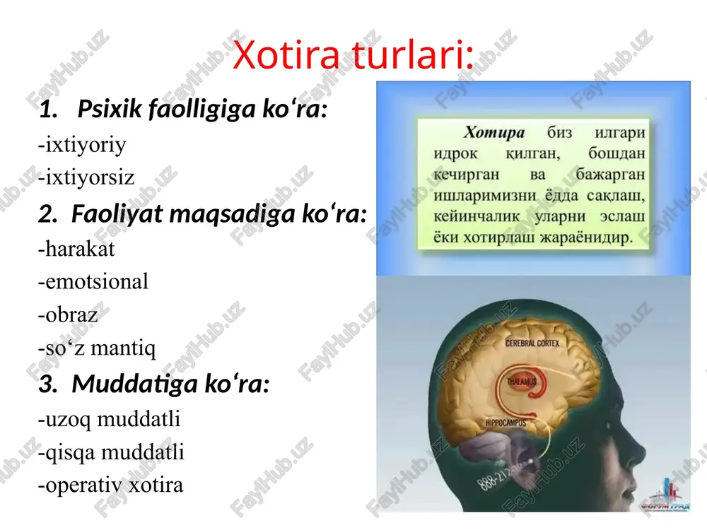 azini ko‘zimizni yumib turib ko‘z o‘ngimizga keltira olamiz. ilgarilari eshitgan bir kuyni, biror bu- yumning og‘ir-yengilligini tasavvur qilmog‘imiz mumkin. image1.jpeg image2.jpeg image3.jpeg image4.jpeg image5.jpeg image6.jpeg xomupa o63 usrapu hjipok kwirah, soman keyuprah = bas“ oakaprah miwiaphmu3hh éyyla cakalll, keimhyaimk §yslaph 9cyialll 6kh xothpsall *kapaéhnmp. es re ereseht conrex. oan) stippocairos™ xotirada saqlash| jaravonlar? sensor sora okt esqemadgatisotea | | oq muadatistra tot ‘mar aos esi eke 2a tumotsaglanmads mui wa tomot aan ‘aglanmads iis lid eslab qolishga tarvorlik assotsiatsivalar gonunt ‘gonin h igarigt bilimlar birin-ketinlk gomuni ‘gonn huchl taassnrottar ‘gizigish gomms ‘gomant ‘anglanganiik rormostanish ‘gomnt ‘gon /docprops/thumbnail.jpeg reja: 1. xotira hagida 2. xotiraning faoliyati 3. xotira klassifikatsiyalari 4, xulosa