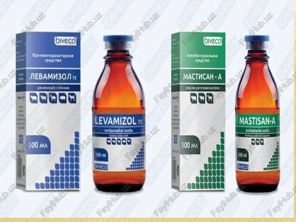 x – 100 ml rp.: solutionis atropini sulfatis 0,1% - 10 ml d.s. 10 tomchidan ichilsin. ofisinal eritmalarni yozib berishda ularning konsentrasiyasi ko’rsatilmay faqat nomi va miqdori ko’rsatiladi. misol. md = 5 tomchi bo’lgan nitrogliserinning spirtli eritmasi yozib berilsin. rp.: solutionis nitroglycerini spirituosae 2 ml d.s. 2 tomchidan 1 chaqmoq qandga tomizilib, til ostiga qo’yilsin. misol. kordiamin eritmasi 10 ml yozib berilsin.10 tomchidan ichish uchun buyurilsin. rp.: cordiamini 10 ml d.s. 10 tomchidan ichishga buyurilsin. tindirma (tinctura) tindirma bosh kelishik birlik sonda – tinctura, qaratqich kelishik birlik sonda – tincturae. tindirmalar deb o’simliklardan tayyorlangan, ozmi-ko’pmi rangli bo’lgan, suyuq, tiniq spirtli, spirt-suvli yoki spirt-efirli ajratmalarga aytiladi. ularni tayyorlash uchun ko’proq 70% yoki 40% etil spirti qo’llaniladi, chunki unda dori tarkibidagi asosiy ta’sir etuvchi birikma yaxshi eriydi. shu bilan bir qatorda spirt yaxshi konservasiyalash xossasiga ega. shu tufayli damlama va qaynatmalarga nisbatan tindirmalar turg’un dori shakli bo’lib, xona haroratida berk idishlarda uzoq …