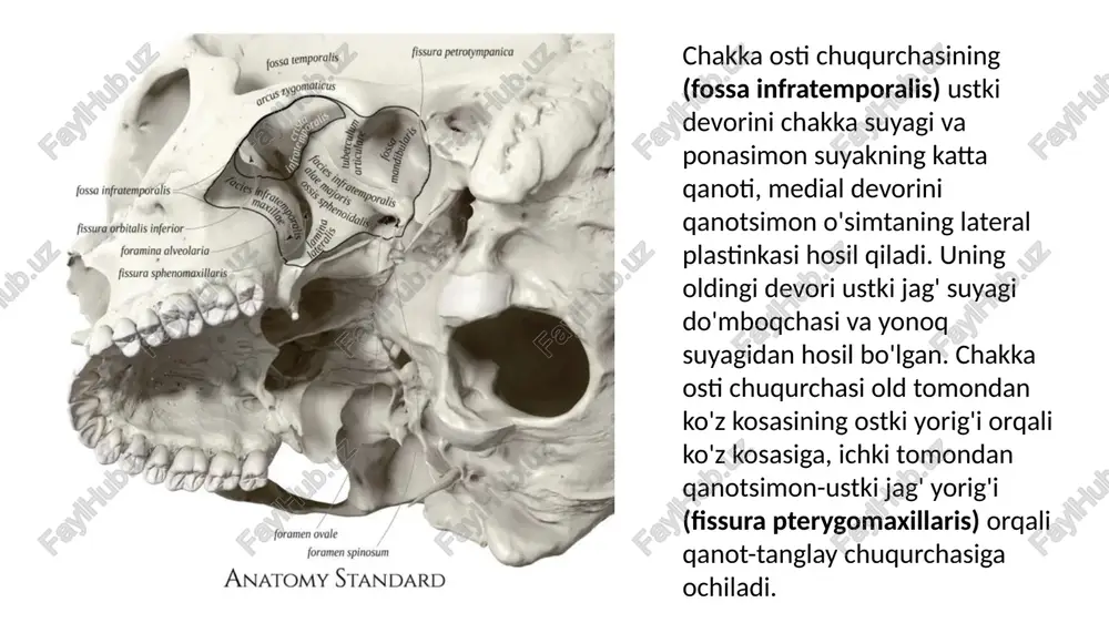 chakka, chakka ostiv aqanot-tanglay chuqurchalari - Page 4