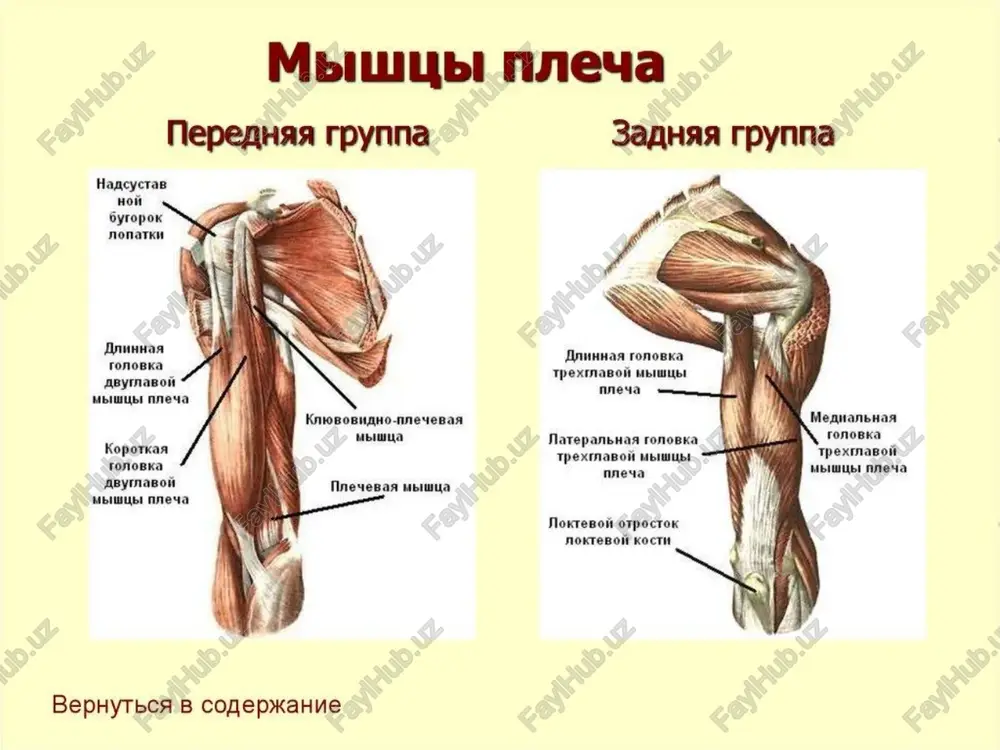 elkakamarivaelkamushaklari - Page 4