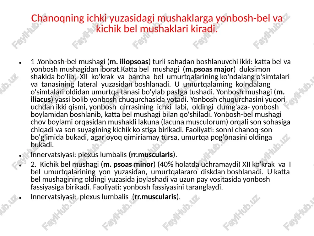g aleraganus university @ "ibbiye fakaltett amaya ce nt mater. btw eon panes} ‘muhakior ovogning vinovalqnlrt ulering foa “tirta repens at rs 0, aa