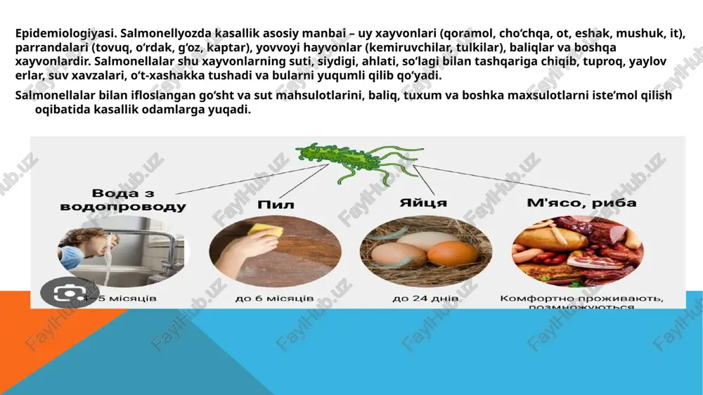 bklinik formasi (bakteriotashuvchanlik qiyosiy tashxisoti. salmonellyozni ichburug‘, vabo, zaharli ximikatlar bilan zaharlanishi va miokard infarktidan farqlash zarur. ichburug‘da bemor qornining chap tomoni burab og‘riydi,yolg‘on chaqiriqlar, kuchanik bezovta qiladi, ahlati kam-kam qon aralash shilimshiqdan iborat bo‘lib, xidi bo‘lmaydi. sigmasimon ichak og‘riqli, arqonga o‘xshash palpatsiya bo‘ladi. rektoskopiyada yo‘g‘on ichak shilliq pardasining qizarib yallig‘langanligini, eroziya va yaralar borligi ko‘rinadi. laboratoriya usuli bilan tekshirilganda tegishli ijobiy natijalar olinadi. vaboda harorat ko‘tarilmaydi, qorin og‘rimaydi, ko‘ngil aynimaydi, kasallik ich ketishdan boshlanadi, ahlati xidsiz, xuddi yovg‘on xurdaga o‘xshash bo‘ladi. qayd qilish ko‘p fantandek bo‘ladi. “gippokrat yuzi”, “kir yuvuvchilar qo‘li”, “ko‘zoynak simptomi” kuzatiladi. najasi guruch yuvindisiga o‘xshaydi. organizmda suvsizlanish belgilari tez paydo bo‘ladi, oyok-qo‘l muskullari , ayniqsa boldir muskullari tortishib og‘riydi. vabo tashxisi to‘g‘risidagi masala bakteriologik usul bilan tekshirilganda ahlatda yoki qusuqda vibrion topilgach, uzul-kesil hal bo‘ladi. kimyoviy moddalar bilan zaharlanish (xlororganik va fosfororganik moddalar bilan) yuz berganida odamni hiqichoq tutadi, ko‘kragi qisib, tili, tomog‘i, ko‘zi achishaveradi, qulog‘i …