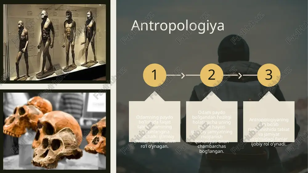 antropologiya - Page 4