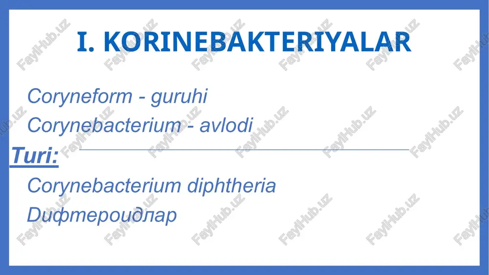 adi. harakterli belgisi pristupsimon, spazmatik yoʻtal. nafas olish yoʻlining havfli kasalligi boʻlib 2 yoshdagi bolalarda ogʻir kechadi. qo’zgatuvchisi — bordatella pertussis aerob, kapsulali, grammanfiy tayoqcha bakteriyadir. bakteriyalar koʻp miqdorda toksinlar ajratib chiqaradi va nafas yoʻllarining shilliq qavatini zararlaydi. nafas yoʻllarining shilliq qavatida koʻpayadi, kasallik simptomlariga sabab boʻladi. 40 % hollarda kasallik oʻtkir bronhit tarzida kechishi mumkin. inkubatsion davri 7-14 kun, kasal 5 kunlik antibiotik terapiyadan soʻng izolyatsiya qilinishi kerak. kasallik asosan 3 stadiyada kechadi: kataral, konvulsiya, desrement stadiyasi. inkubatsion davrdan keyin grippsimon belgilar paydo boʻladi, yengil tana haroratinig koʻtarilishi kuzatiladi. aksirish, quruq yoʻtal boshlanadi, bu davr 2 hafta davom etadi, oʻta yuqish darajasi yuqori boʻladi. ikkinchi stadiyada yo'tal hurujlari boshlanadi, harakterli koʻrinishi til tashqariga chiqishi kuzatiladi. yoʻtal natijasida tiniq shilliq ajrab chiqadi va qayt qilishi mumkin. konvulsiya davri 2 haftadan 6 haftagacha davom etadi. oxirgi davrda (stadium decrementi) yoʻtal hurujlari asta sekin kamaya boradi, 3 haftadan 6 haftagacha davom etadi. …