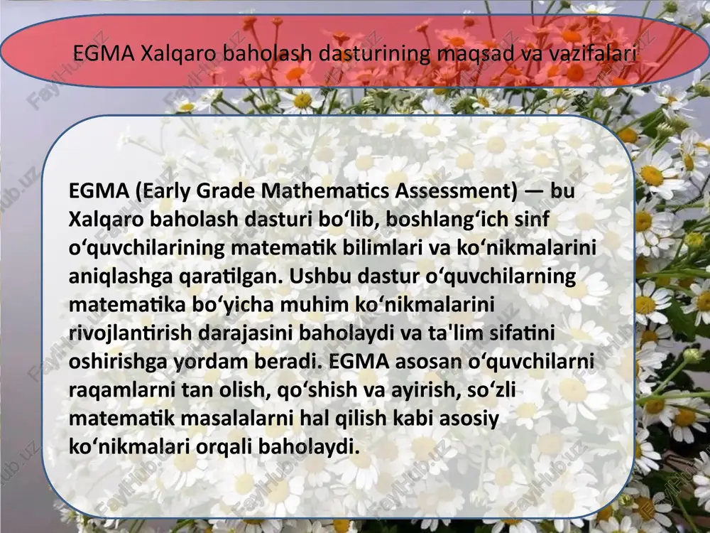 egma va egra xalqaro baholash dasturi - Page 4