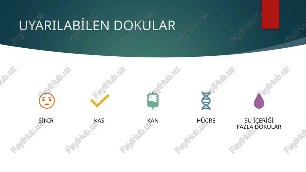 motor noktalardan stimülasyon almak amaçlı motor noktadan uygulanır. kasta kontraksiyon gözlenir. 1 seansta maximum 90 kontraksiyon alınmalıdır. 30-30-30 şeklinde ya da 45-45 aralıklarda. bi̇polar tekni̇k i̇ki̇ plak elektrot : grup stimülasyonu istendiğinde ya da büyük kaslara uygulama yaıldığında kullanılır. origo ve insersiyoya plak elektrotlarla uygulanır. kasın başlangıç noktasına (+) bitim noktasına (–) elektrot yerleştirilir. 200 kontraksiyon alınır. uygulama toplam 20 dk (10 dk uyarı- 5 dk dinlenim-5dk uyarı). i̇ki̇ kalem elektrot : derin kaslarda motor nokta stimülasyonu şeklinde uygulanır. endi̇kasyonlari denerve kaslarin tedavi̇si̇nde kas tonusunu artirmak gereken durumlarda dolaşim bozukluklarinda düz akımın modifiye şekilleri kullanılabilir. uygulama sırasında tedavi bölgesinde metal bulunmaması hastaya tedavinin açıklanması tedavi bölgesine uygun tekniğin seçilmesi gerekir. image6.jpeg image7.png image16.svg image8.svg image9.png image10.svg image11.png image12.svg image13.png image14.svg image15.png image17.jpeg image2.png image3.png image4.png image5.png .msftofcresponsive_fill_9e5e9b { fill:#9e5e9b; } .msftofcresponsive_fill_ea6312 { fill:#ea6312; } .msftofcresponsive_fill_e6b729 { fill:#e6b729; } .msftofcresponsive_fill_6aac90 { fill:#6aac90; } .msftofcresponsive_fill_54849a { fill:#54849a; } /docprops/thumbnail.jpeg elektroterapi nedir?