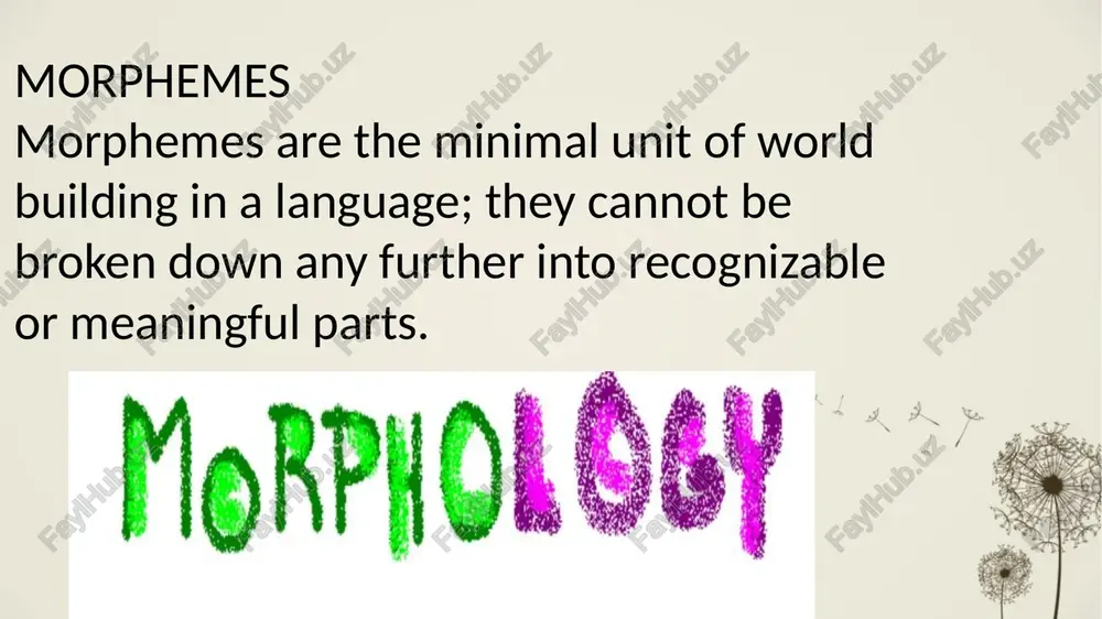 morphology - Page 4