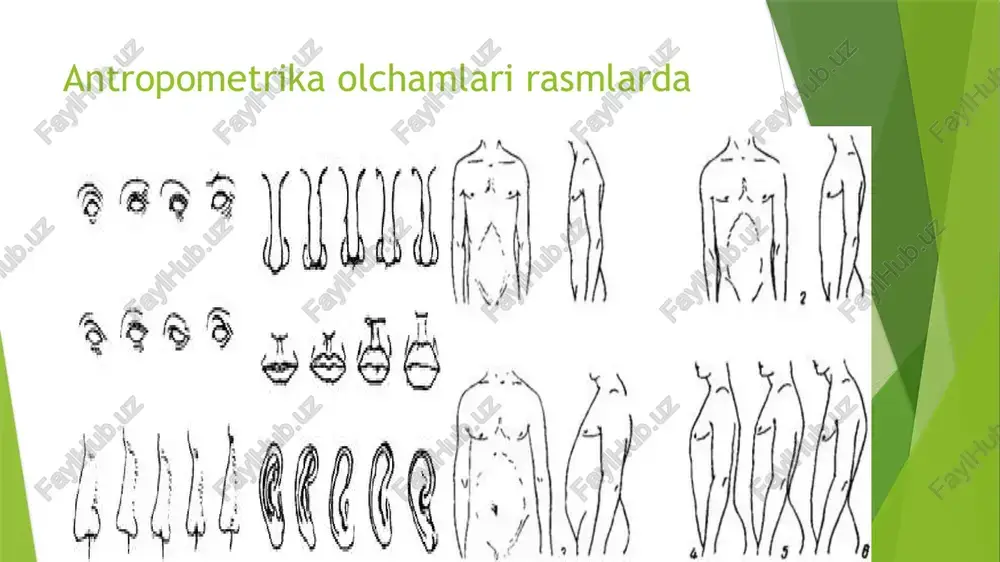 kiritiladi. qo'shimcha antropometrik ko'rsatkichlarga esa — o'tirgan holatda bo'y balandligi, bo'yinning aylanasi, gorin o'lchamlari, bel o'lchami, son va_boldir o'lchamlari, yelka o'lchami, ko'krak qafasining sagittal va frontal diametri, qo'l uzunligi va boshqalar kiritiladi. shunday qilib, antropometriya usuli o'z tarkibiga uzunlik, diametr, aylana va boshqa o'lchamlarni o'lchashni qamrab oladi. e tik turgan holatda va o'tirgan holatda bo'yning uzunligi bo'y o'lchash moslamasi bilan aniqlanadi. e bo'y uzunligini o'lchash davomida mijoz vertikal joylashtirilgan ustunga orqasini tekizgan holatda joylashadi, oyoqlarining tovon qismi moslamaning quyi tag qismiga tegiziladi, shuningdek dumba sohasi va kuraklar o'rtasidagi soha ham o'lchash moslamasi ustuniga tegizilgan holatda bo'lishi talab qilinadi. e asbobning o'lchov moslamasi (planshet) bosh sohasiga tekkuniga qadar siljitiladi. e o'tirgan holatda tana bo'yini o'lchashda maxsus skameykaga o'tiriladi, vertikal holatda e joylashtirilgan o'lchov ustuniga dumba sohasi va kuraklar o'rtasidagi soha tegiziladi. otirgan holatda bo'y uzunligini o'lchashda olingan malumotlar tananing boshga bo'ylama olchamlari qiymatlari bilan solishtirish asosida tana qismlarining bir - biriga …