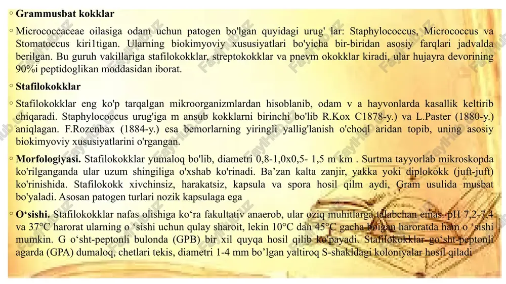 i. felyayzen (1883-y.) va rozenbax (1884-y.) sun’iy oziq muhitlarda streptokokklarning sof kulturasini ajratib olishga muvaffaq bo’lishdi. morfologiyasi. streptokokklar yumaloq yoki bir oz cho‘zinchoq bo’lib, diametri 0,5-1,0 mkm. ular juft-juft bo’lib yoki zanjirga o'xshash joylashadi. streptokokklar harakatsiz, spora hosil qilmaydi, grammusbat bo'yaladi. patogen turlarining mikrokapsulasi mavjud. shakar va spirtni bijgʻitadi o‘sishi. streptokokklar o'sishi uchun qulay harorat 37°s bo'lib, 15-45°s da, ba’zan 47 °s da ham o'sa oladi. oddiy oziq muhitlarda streptokokklar juda sekin o'sadi, patogen turlari esa butunlay o'smasligi ham mumkin. shuning uchun ularni maxsus: qandli, qonli, zardobli agarlarda, ph 7,2-7,6 bo'lgan oziq muhitlarda o'stiriladi. ular qattiq oziq muhitlarda juda mayda, diametri 0,5-1 mm bo’lgan, xira kulrang yoki oqish yumaloq, donador, kamroq s -shakldagi koloniyalar hosil qiladi. qonli agarda streptokokkning turiga ko‘ra betta yoki alfa gemoliz ro‘y beradi. streptokokkning ayrim turlari (str.anginosus, str.bovis, str.mitis, str.mutans, str.salivarius) gemoliz hosil qilmaydi, shuning uchun ular «nogemolitik streptokokklar» deyiladi. streptokokk qandli bulonda o'ziga xos ko‘rinishda, …