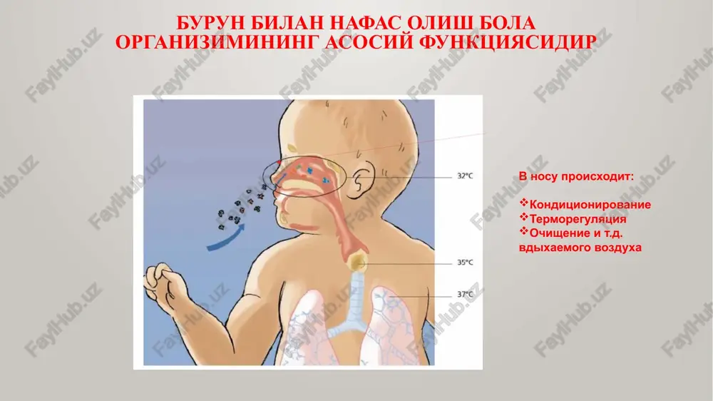 ri kasalliklarining asosiy belgilari 7. majburiy holat 1) o'ng tomonda 2) nafas qisilishi bilan birga o'pka qon aylanishida qonning turg'unligi bilan 3) o'tirish holati oyoqlari osilgan xolatda (ortopnoe) - oyoqlarning shishishi kuchayadi, ammo nafas qisilishi kamayadi, chunki o'pka qon dimlanishi kamayadi. qon aylanish a'zolari kasalliklarining asosiy belgilari 8. arterial gipertenziya - bosh og'rig'i, temporal soxada pulsatsiya, bosh aylanishi, letargiya, ovqatlanish bilan bog'liq bo'lmagan ko'ngil aynish, takroriy burun qonashlari haqida shikoyatlar bo'lishi mumkin. gipertenziv kriz - qon bosimining keskin oshishi. kattik bosh og'rig'i, qusish, yurakdagi og'riq, yurak urishi, ko'rishning xiralashishi, eshitish, uyqusizlik va qo'llarning titrashi bo'lishi mumkin. 9. qon tomirlari etishmovchiligi va ayrim yurak nuqsonlarida arterial gipotenziya kuzatiladi. qon aylanish a'zolari kasalliklarining asosiy belgilari . 1. yurak-qon tomir etishmovchiligi - miokard qisqarishining buzilishi va / yoki qon tomirlarining shikastlanishi, bunda organlar va to'qimalar zarur miqdorda qon bilan ta'minlanmaydi. qon tomirlari etishmovchiligining namoyon bo'lishi: hushidan ketish, kollaps, shok qon aylanish a'zolari kasalliklarining …