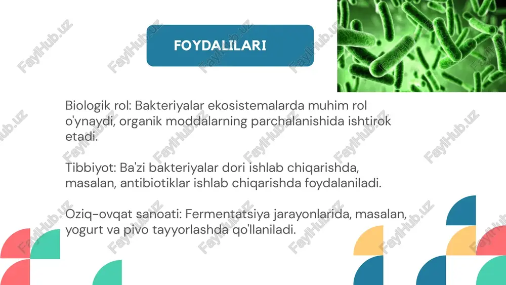 mikroorganizmlar haqida - Page 4