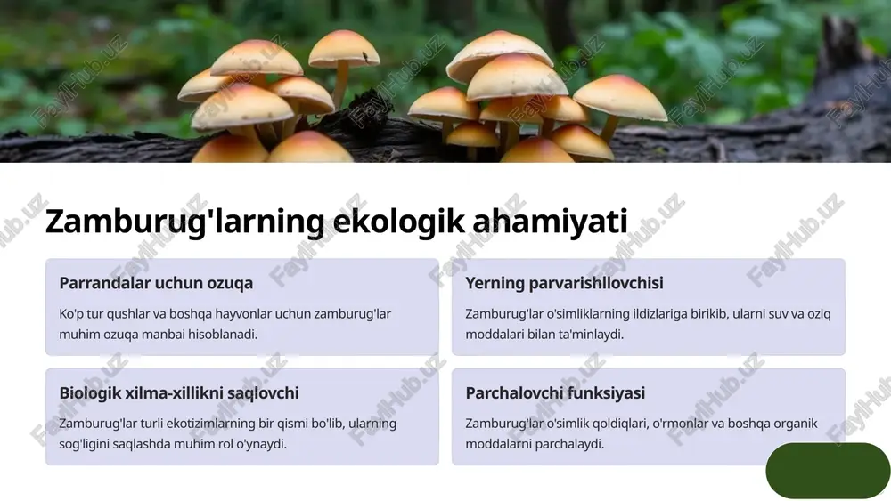 zamburug'larning turlari va xususiyatlari - Page 4