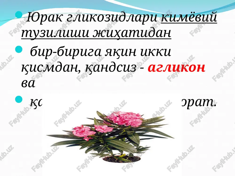 ase rs an an on er errno oes seravavvens ae lopak riukoo3suaapu new na*, k*-hacoc capkonnasma- thueckaa cetb capxonemma —+ capkonnasma nat (tt) cat* nat aad ca*+ catt (tt) v nat (7) k* (l) cat (t) puce. 14.2. [pegnoaraembiii mexahu3m kapahotohmyeckoro welctbua cepye4- hbix pimko3h ob. a-—6 — 9tambl elictbma cepfedhbix pmhko3h- nop; (-) — yruetarouree meiicrsue; (1) — nosi- wehne cogepxanua nohob; (¥) — chmxenne comepxkahha hohob. yeunehhoe mbilenhoe cokpaiyehne nat, k*-hacoc capkonnaama- thueckaa cetb cat* (t) nat (tt) nat catt 9 ++— eweeuuorded, (s) (\) 4429 +—- ewweuoxdea (cees) ()) 4en yeunehhoe mbilueyhoe cokpalyehue z{uzoxcun nu lala taxuapwmumeckas gopua — hopuocucrommwecxaz gopua aepuaremeuoit apsenunt ‘mepuazemuo# apymuce (cr j309) ch, h oh r ch,oh h, ho hh och, n , ) b-d-[noxosa @-d-lnwaposa os co on ch; ax aad penne oh oh se o — 1- pamhosa axohutokchh