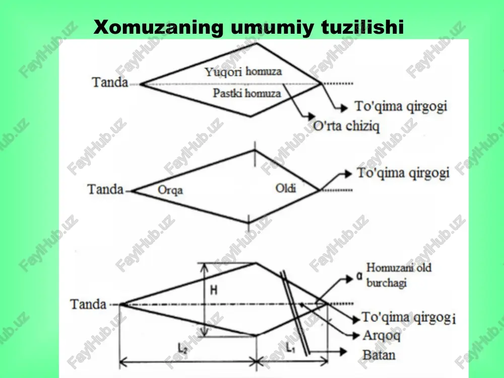 zamonaviy xomuza hosil qilish va omillari - Page 4