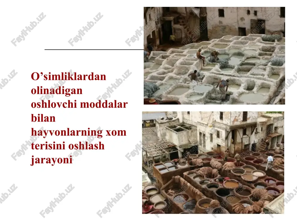 maga jelatinani 1% eritmasi tomchilab qo’shilganda cho’kma hosil bo’ladi (ortiqcha tomchi cho’kmani eritib yuboradi); ajratma alkaloid tuzlari, og’ir metall tuzlari, shilliq moddalar bilan amorf cho’kma hosil qiladi. 2-3ml ajratmaga brom suvi tomizilsa kondensatsiyalanuvchi tanidlar cho’kma beradi. tahlil usullari rangli reaktsiyalar: temirning iii valentli tuzlari bilan gidrolizlanuvchi oshlovchi moddalar qora-ko’k, kondensatsiyalanuvchi oshlovchi moddalar qora-yashil cho’kma hosil qiladi. 2-3 ml ajratmaga natriy nitrat tuzidan bir necha kristall va 0,1m xlorid kislotadan 5 tomchi qo’shiladi. gidrolizlanuvchi tanidlar jigarrang hosil qiladi. stiasni reaksiasi (tasnif reaktsiyasi) 50 ml ajratmaga 10ml konts. (1:1) xlorid kislota va formalinning 40% eritmasidan 15 ml qo’shiladi. so’ngra kolbani havo sovitgichi bilan birlashtirib qizdiriladi. bunda kondensatsiyalanuvchi oshlovchi moddalar qo’ng’ir cho’kma hosil qiladi. cho’kma filtrlanadi. filtratda gidrolizlanuvchi oshlovchi moddalar borligi aniqlanadi. buning uchun 5 ml filtrat olib, ustiga 1g natriy atsetat kristalli asta-sekin solinadi va aralashmani chayqatmay, temir–ammoniyli achchiqtoshning 15% eritmasidan 10 tomchi qo’shiladi. natijada natriy atsetati kristali atrofidagi neytral zonada ko’k …