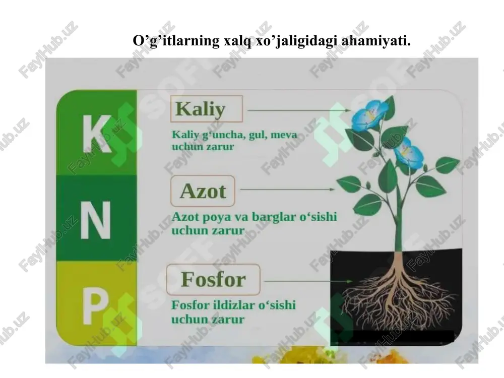 ng gigroskopikligi va yopishqoqligi uni donachalar xoliga o’tkazish, gigroskopik bo’lmagan mayda birikmalar bilan qopalash (masalan, oxak bilan) va kam gigroskopik tuzlar bilan qo’shib (masalan, sulfat yoki fosfat ammoniy bilan) kotishma xosil qilish yo’li bilan kamaytiriladi. ammiakli selitra sanoatda quyidagi reaksiya bilan olinadi: hno3 + nh3 = nh4no3 + q azotli o’g’itlar. azotli o’g’itlar. azotli o’g’itlar. karbamid (mochevina) ishlab chiqarish. karbamid co(nh2)2 tarkibida 46,6 % azot bo’ladi, u mineral o’g’it sifatida ishlatiladi va xayvonlar ozuqasiga azotli qo’shimcha sifatida qo’shiladi. shuningdek karbamid plastmassalar (masalan aminoplastlar) ishlab chiqarishda xom ashyo sifatida ishlatiladi. karbamid ammiakning uglerod (iv)-oksid bilan reaksiyasi natijasida xosil bo’ladi. bu jarayon ikki bosqichda boradi: birinchi bosqichda ammoniy karbaminat nh2coonh4 va ikkinchi bosqichda ammoniy karbominatning digidratatsiyasi natijasida karbomid xosil bo’ladi: 2nh3 + co2 = nh2coonh4 + q (a) nh2coonh4 ;= co(nh2)2 + h2o - q (b) azotli o’g’itlar. karbamid xosil bo’lish tezligi va miqdori reaktsion kamerada bosim, xarorat va ammiakning konsentratsiyasi ortishi …