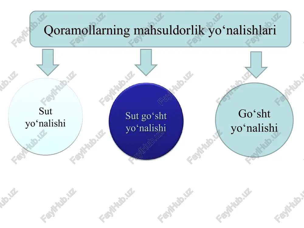 chitildi. respublikada andijon, farg‘ona, namangan, jizzax viloyatlarida mahalliy mollar zotini yaxshilashda shvits zotidan foydalanilgan. shvits zotli qoramollar go‘sht – sut yo‘nalishida, tusi qo‘ng‘ir. shvits zoti buzoqlarning tug‘ilgandagi vazni 30-35 kg; sigirlarning o‘rtacha tirik vazni 500-550 kg; buqalarning o‘rtacha tirik vazni 900-950 kg; bir laktatsiyadagi sut mahsuldorligi o‘rtacha 3000-4000 kg; sutining o‘rtacha yog‘liligi 3,7-3,8 %; buqalari go‘sht uchun jadal o‘stirilganda kunlik semirishi 750-1000 g; so‘yim chiqimi 55-60 %. mahsuldorlik ko‘rsatkichlari. aberdin – angus zoti. aberdin – angus zoti qoramollar shotlandiyaning aberdin va angus grafliklarida yaratilgan. go‘shtdor zotli qoramollar ichida eng tez yetiluvchan va eng yuqori sifatli go‘sht beradigan hisoblanadi. tusi qora, to‘qol. buzoqlarning tug‘ilgandagi vazni 24-27 kg; 8 oyligidagi vazni 190-210 kg (sutdan chiqqanda); sigirlarning o‘rtacha tirik vazni 500-550 kg; buqalarning o‘rtacha tirik vazni 800-900 kg; 15-16 oyligida buqachalarni vazni 450-465 kg; so‘yim chiqimi 65-70 %; bir laktatsiyadagi sut mahsuldorligi o‘rtacha 1500-2000 kg; sutining o‘rtacha yog‘liligi 3,8-4,0 %; qashqadaryo va surxondaryo …