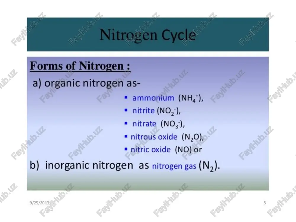 nitrogen cycle - Page 4