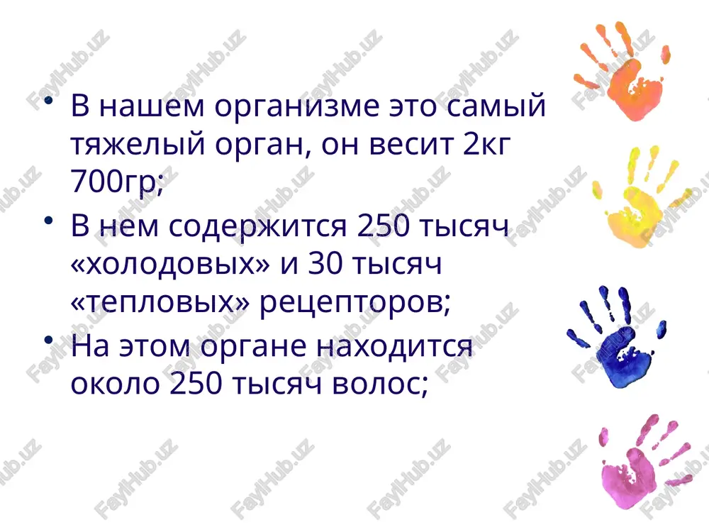 y lishay chesotka travmi ojogi (i-iv stepeni) obmorojeniya domashnee zadanie 39-41 prezentatsiya uchit! znat! budet pismennaya rabota! terining qaysi qismida qon va limfa tomirlari mavjud? terining qaysi qismida yog ‘va ter bezlari mavjud? ushbu funktsiyalardan qaysi biri teri dermasiga tegishli? terining qaysi qismi tanadan issiqlikni chiqarishga to'sqinlik qiladi? teri dermasi qanday to’qmaga kiradi? epitelial to'qimalarning qaysi turi teri epidermisini hosil qiladi? teri kasalliklarini davolovchi shifokor..... terida issiqni sezuvchi retseptorlar soni… terida sovuqni sezadigan retseptorlar....? terida taktil yani tuygu retseptorlari soni nechta? teriga rang beruvchi pigment va hujayra qaysi? teri nechta qavatdan iborat? terining tashqi qavati...deyladi terining o'rta qavati.... deyladi. terining ichki qavati... deyladi e’tiboringiz uchun katta rahmat ! toshkent shahridagi yodju texnika institutu kimyo va biologiya kafedrasi “yosh fiziologiyasi va gigiyenasi” fani ma'ruzachi phd dosent abdullayev asilbek e-mail: a.abdullayev@ytit.uz 25 image3.png image5.png image1.png image2.png image6.jpeg image7.jpeg image8.jpeg image9.jpeg image10.gif image11.png image12.png image13.jpeg image14.png image15.png image16.jpeg image17.png image18.png image19.jpeg image20.jpeg image21.gif …