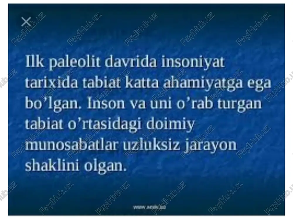 lk paleolit davrida inson ma’lumoti - Page 4