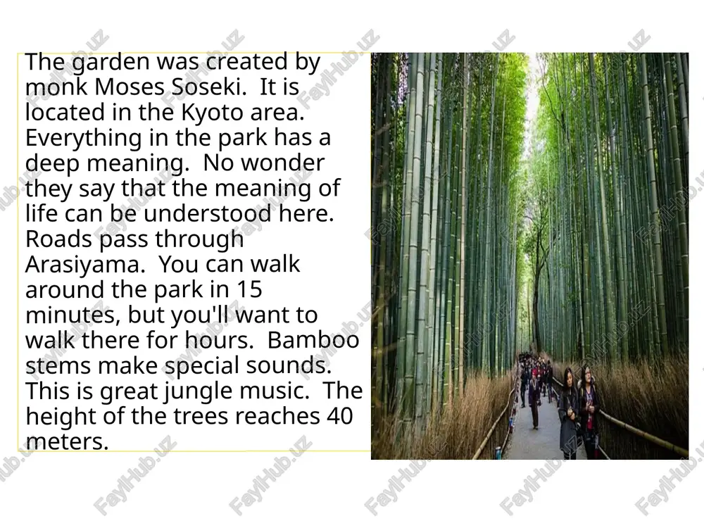 nhabitants of the garden are typical inhabitants of japanese forests. bu hudud yapon alp tog'lari deb ataladi. yaylovlar, ajoyib tog 'ko'llari va hatto faol vulqon bor. bog'ning aholisi yapon o'rmonlarining odatiy aholisidir. hanami is a cherry blossom festival where people admire the flowers. it happens in the spring. then the whole country will change. parks, temples and castles attract more and more tourists... for the japanese themselves, this is a wonderful event that is relaxing and joyful. hanami - odamlar gullarga qoyil qolgan gilos gullari bayramidir. u bahorda sodir bo'ladi. keyin butun mamlakat o'zgaradi. parklar, ibodatxonalar va qal'alar ko'proq jalb qiladi ko'proq sayyohlar... yaponlarning o'zlari uchun bu tinchlantiruvchi va quvonchli ajoyib hodisa. image1.jpeg image2.jpeg image3.jpeg image4.jpeg image5.jpeg image6.jpeg image7.jpeg image8.jpeg image9.jpeg image10.jpeg image11.jpeg image12.jpeg