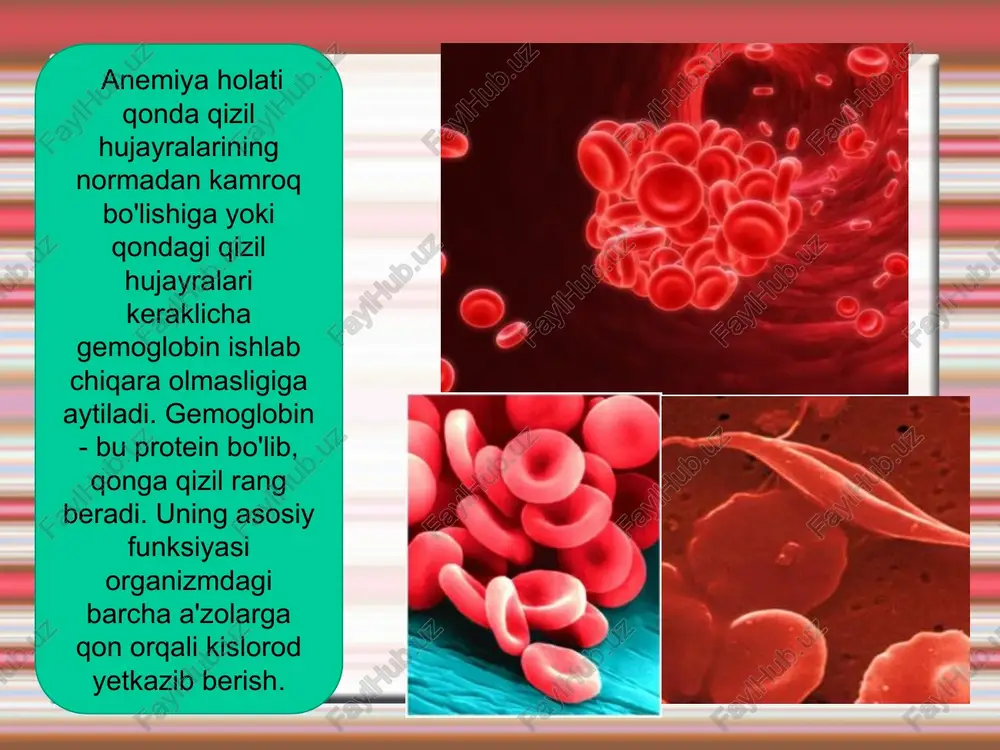 gaya chast vstraivaetsya v ferritin i ostaetsya v kletke. pri slushivanii kletki jelezo ferritina teryaetsya vmeste s ney. zaxvat jeleza proisxodit bistree, chem ego perenos iz kletki. v obichnix usloviyax kletki slizistoy absorbiruyut 12% jeleza, postupivshego s pishey, a transportiruyut lish 3.6% postupivshego s pishey jeleza. sutochnaya potrebnost v jeleze u jenshin do, v techenie i posle beremennosti ayollarda xomilador bulguncha, xomiladorlik davri va undan keyin temirga extiyoj temirga extiyoj (mg/sut) gacha 1 trimestr2 trim. 3trim. tugrukdan sung menstruatsiya eritrotsitlar laktatsiya menstruatsiya temir yukotilishi xomila xomiladorlik normal kechishi uchun urtacha 1000 mg temir sarflanadi. 0 7 6 5 4 3 2 1 vo vremya beremennosti znachitelnoe snijenie zapasov jeleza mojet vozniknut bolee, chem u polovini jenshin, kotorie ranee ne stradali anemiey. potrebnosti beremennoy jenshini v jeleze skladivayutsya iz sobstvenno potrebnostey jenshini (240 mg), zatrat, vizvannix uvelicheniem chisla eritrotsitov (500 mg jeleza), a takje potrebnostey ploda i platsenti (300 mg), v …