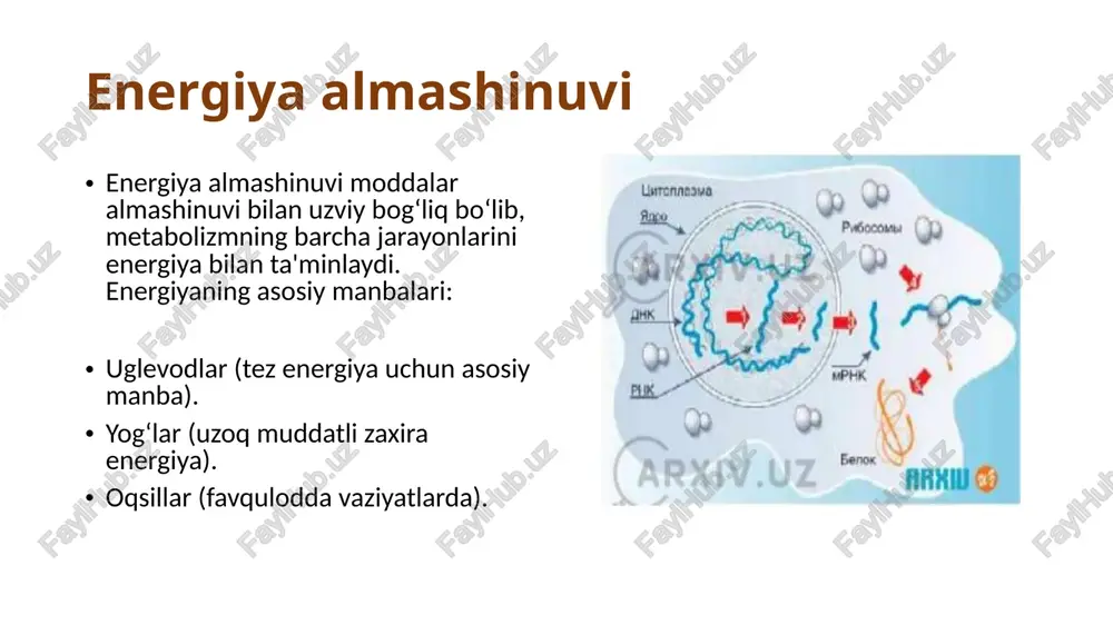 moddalar almashinuvi - Page 4