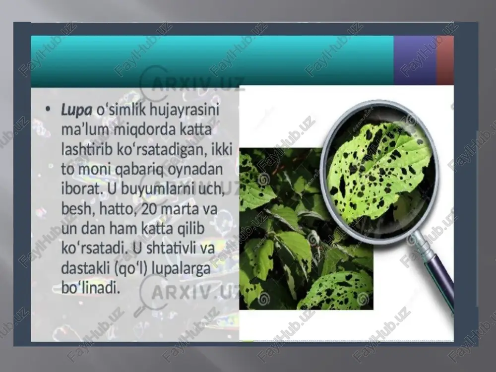 mikroskopning optik sistemalari - Page 4