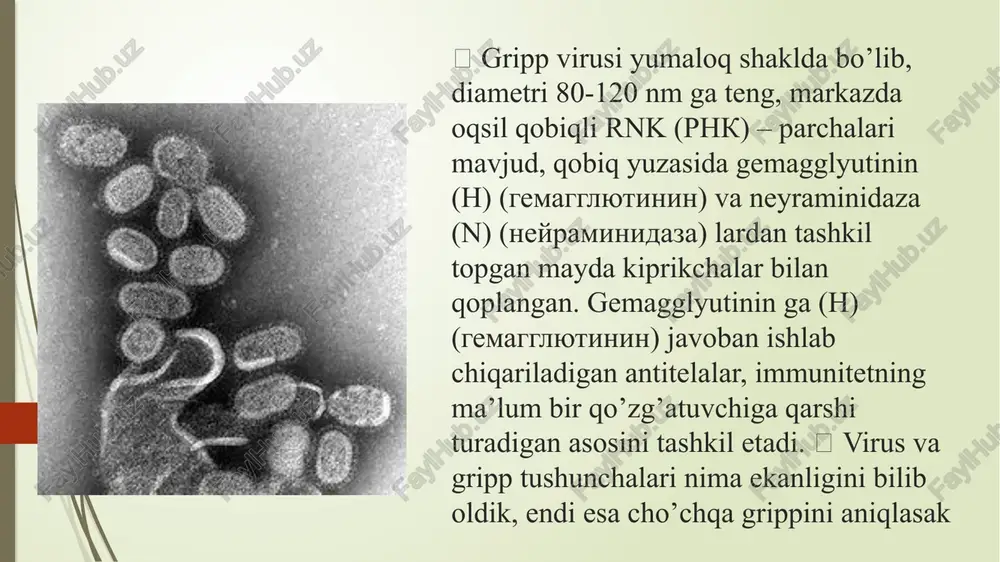 gripp - Page 4