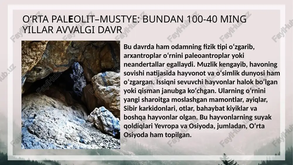 bal.da joylashgan. gʻorning shipi teshik, nomi ham shundan, kirish qismi shim.sharq tomonga qaragan boʻlib bal. 7 m, eni 20 m, uz. 21 m. teshiktosh g`ori haqida uning umumiy maydoni 300 kv m boʻlib, shundan 100 kv. m joy i neandertallar yashaganligidan guvoxlik beruvchi arxeologik materiallarga ega. t.gʻ. yashash uchun qulayligi tufayli gʻorni vaqtvaqti bilan suv bosib turishiga qaramasdan neandertal odamlar uni butunlay tark etmaganlar. gʻorni birinchi marta 1938—39 yillarda a. p. okladnikov oʻrgangan. t.gʻ. 5 ta madaniy qatlamdan iborat boʻlib, bu manzilgoh bir necha marotaba tark etilganidan dalolat beradi. teshiktosh g`ori haqida gʻorning har bir qatlamida bittadan va baʼzilarida ikkitadan gulxan qoldiqlari saqlanib qolgan. gulxanlar atrofida koʻplab togʻ echkisi, bugʻu, sirtlon, ayiq, quyon va har xil qushlarning suyak qoldiqlari, 3000 ga yaqin tosh buyum, tosh uchirindisidan tayyorlangan uchburchak shakldagi 24 ta qurol, qirquvchi va tarashlovchi sifatida ishlatilgan 65 ta qirgʻich, paykonlar, tosh pichoqlar topilgan. mustye madaniyatiga oid bu xiddagi qurollarning …
