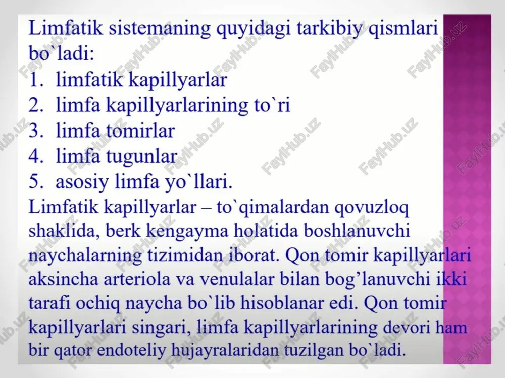 nodi iliaci com. nodi iliaci ext. nodi interiliaci nodi lymphoidei viscerales abdominis nodi mesocolici # nodi gastroomentales dex./sin. pyres ts nodi hepatici ‘ascending branch neocotic artery beal branch ‘anterior and posterior cecal branches superior heocecal recess and told inferior mesoappensix artery to appendix vermitorm appendix valva ileocaecalis vneo-lwekasibhbin yron yepbeoopa3hbiii otpoctok - appendix vermiformis qorin va chanoq bo’shlig’! limfa tuguntlari nod. lymphoidei parietales “nod. lumbales dex., sin. et intermed. nod. phrenici_ infer. nod. epigastrici infer. nodi lym phoidei abdominis trunci intestinales nod. lymphoidei viscerales nod. coeliaci nod. gastrici (dex. et sin.) nod. gastroomentales (dex. et sin.) nod. pylorici nod. pancreatici nod. splenici nod. pancreatoduodenales nod. hepatici nod. mesenterici super. nod. mesenterici infer. et ductus thoracicus od. lymphoidei parietales od. jaci communes nod nod. illiaci exter. trunc tymphoidet nod. illiaci in tambales pelvis nod. lymphoidei viscerales nod oyogning limfa tomirlari i 1.v. cano. superior ve 2.v, braakioe pralica dex ef sin. …