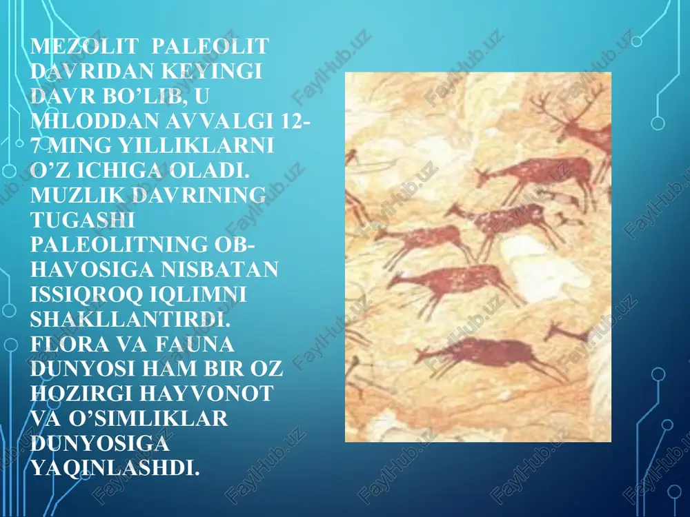 da yashagan qabilalar xo’jaligi baliqchilik, ovchilik va termachilikdan iborat bo’lgan. adabiyotlar: karimov i.a. yuksak ma’naviyat – yengilmas kuch. – t., 2008. karimov i.a. tarixiy xotirasiz kelajak yo’q. – t., 1998. annayev t., tilovov b., xudoyberdiyev sh. boysun arxeologik yodgorliklari. – t., 1999. kabirov j., sagdullayev a. o'rta osiyo arxeologiyasi. – t., 1990. sagdullayev a. qadimgi o’rta osiyo tarixi. – t., 2004. egamberdiyeva n. arxeologiya. – t., 2011. avdusin d.a. osnovi arxeologii. – m., 1989. amalrik a.s., mongayt a.l. chto takoe arxeologiya. – m., 1966. amalrik a.s., mongayt a.l. v poiskax ischeznuvshix tsivilizatsiy. m., nauka, 1966. arxeologi rasskazivayut. tadjikgosizdat. – stalinabad, 1959. drevnie tsivilizatsii. – m., misl, 1989. islamov u.i. peshera machay. – t., 1975. islamov u.i. obishirskaya kultura. – t., 1980. islamov u.i. kultura kamennogo veka tsentralnoy fergani. – t., 1986. kamenniy vek na territorii sssr. – m., nauka, 1970. martinov a.i. arxeologiya sssr. – m., 1973. mezolit sssr. mezolit …