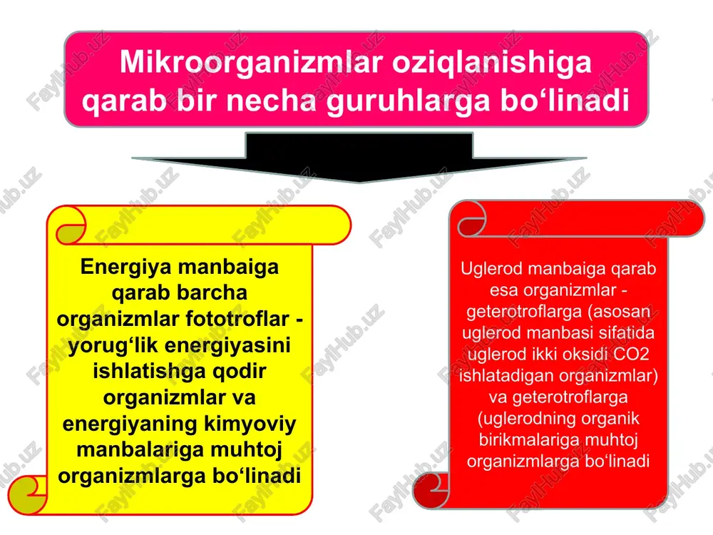 amin aminokislotalari, yog‘ kislotalar, yog‘lar, oqsillar, vitaminlar sintezlanishi mumkin. nafas olish protsessida hosil bo‘ladigan energiyaning bir qismi mikroorganizmlarda yorug‘lik energiyasi shaklida tarqaladi. kislorodga bo‘lgan munosabatiga qarab, bakteriyalarni bir necha guruhlarga ajratish mumkin. ko‘pchiligi havo kislorodi bo‘lishini talab qiladi, bular aeroblardir. aksincha, anaeroblar havo kislorodi bo‘lmasa yaxshi rivojlanadi, bular anaeroblardir. fakultativ anaeroblar substratda oz miqdorda kislorod bo‘lsa yaxshi rivojlanadi obligat aeroblar atmosferada 21% kislorod bo‘lsa yaxshi rivojlanadi odatda, suyuq va qattiq oziq muhiti yuzasida o‘sadi (vabo vibrioni, sarsinalar, sil tayoqchalari va boshqalar). mikroaerofillar oz miqdorda (10%) kislorod bo‘lsa ham o‘sa oladi (sut kislotali bijg‘ituvchilar). fakultativ aeroblar molekulyar kislorod bo‘lmasa ham ko‘paya oladi (ko‘pchilik patogen va saprofit bakteriyalar) obligat anaeroblar kislorod bo‘lsa rivojlana olmaydi. kislorod cheklovchi salbiy faktor (qoqshol klostridiysi, botulizm, gazli gangrena tayoqchalari) mikroorganizm o’sishi va ko’payishi. mikroorganizmlar ham o’sadi, ham ko’payadi. o’sish deganda, hujayradagi butun kimyoviy moddalarning (oqsil, rnk, dnk va boshqalar) bir-biriga mutanosib tarzda ko’payishi tushiniladi. o’sish natijasida hujayraning …