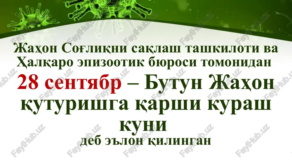 hib og'riydi, bitgan jaroxat va chandiq takroran yallig'lanishi mumkin. bemor tushkunlikga tushadi, odamlar bilan muloqotdan qochadi, uyqusi buzilib, ishtaxasi buziladi, unda qurquv hisi paydo bo'ladi, kayfiyati o'zgarib turadi. tana harorati subfebril bo'ladi, eo'itish va ko'rish qo'zg'atuvchilariga nisbatan sezgirlik oshadi. this presentation uses a free template provided by fppt.com www.free-power-point-templates.com keyinchalik depressiyaning bezovtalik, nafas olishning tezlashadi, ko'krak soxasida siqilish kuzatiladi ii bosqich - qo'zg'alish davri o'rtacha 2-3 kundan 5-6 kungacha davom etadi. bemorning tana harorati ko'tariladi, qon tomirlarning urishi tezlashadi, bemorda gidrofobiya, aerofobiya, fotofobiya, akustofobiya kuzatiladi. bemorning ovozi bug'iladi, badani terlaydi, so'lagi oqadi, ko'z qorachig'i kengayadi, oyoq – qo'llari og'riydi, ko'ziga har narsalar ko'rinadi, nafas olishi yuzaki va tartibsiz bo'ladi, vaqti – vaqti bilan bemor chuqur nafas oladi. muskullari tortishib, talvasalanish nafas va yutish muskullaridan boshlanadi va keyinchalik barcha muskullarga tarqaladi, yutinish qiyinlashadi. bemorni uyqusi buziladi, o'z-o'zini tishlaydi, es - xushi kirdi – chiqdi bo'lib qoladi, keyinchalik bemorning ko'ziga yo'q narsalar …