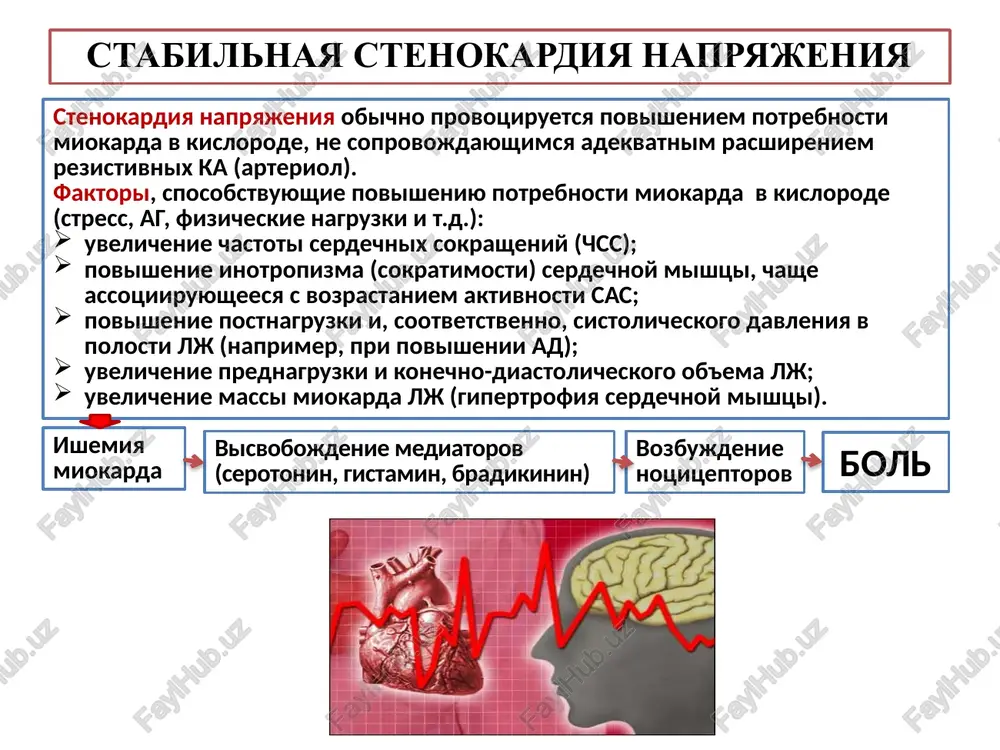 vanie): veloergometriya. tredmil. stress-exo. farmakologicheskie probi: dipiridamoloviy test. proba s dobutaminom. proba s ergometrinom. chrespishevodnaya elektricheskaya stimulyatsiya serdtsa. dlitelnoe monitorirovanie ekg po xolteru. instrumentalnie metodi: exokg; radiologicheskie metodi; koronarnaya angiografiya. infarkt miokarda - opredelenie, etiologiya infarkt miokarda (im) — eto ishemicheskiy nekroz serdechnoy mishtsi, razvivayushiysya v rezultate ostroy nedostatochnosti koronarnogo krovoobrasheniya. osnovnaya prichina razvitiya im - ateroskleroz ka (95%). 5% - emboliya (infektsionniy endokardit, vnutrijeludochkovie trombi); vrojdennie defekti razvitiya ka i drugie porajeniya (koronariiti pri skv, ra). patogenez infarkta miokarda oslojnenie blyashki. tromboz ka (aktivatsii trombotsitarnix i plazmennix faktorov svertivaniya krovi tkanevim tromboplastinom). videlenie biologicheski aktivnix veshestv, obladayushix moshnim vazokonstriktornim deystviem (endotelin, serotonin, trombin, antitrombin a2). spazm. emboliya mikrotsirkulyarnogo rusla. narushenie metabolizma serdechnoy mishtsi s posleduyushim razvitiem ishemii, ishemicheskogo povrejdeniya i nekroza. virajennoe uvelichenie potrebnosti miokarda v kislorode v rezultate fizicheskogo ili psixoemotsionalnogo napryajeniya, pod'ema ad i t.d. pri polnoy okklyuzii ka i slabom razvitii kollateraley formiruetsya transmuralniy im (infarkt …