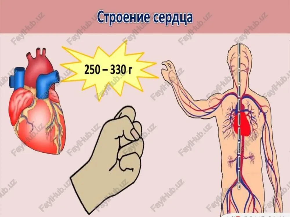 ey sustavov, koja nad sustavami giperemirovana, goryachaya na oshup. palpatorno nad vsey oblastyu porajennix sustavov opredelyaetsya boleznennost. priznaki skopleniya vipota v sustavnoy polosti obichno otsutstvuyut. dvijeniya v porajennix sustavax znachitelno ogranicheni iz-za rezkoy artralgii, kotoraya ne izmenyaet svoey intensivnosti v techenie sutok, odnako ne soprovojdaetsya utrenney skovannostyu. «letuchest» revmaticheskogo artrita: v techenie 1—3 sutok v odnix sustavax yavleniya vospaleniya polnostyu ischezayut, a v drugix — poyavlyayutsya. u nekotorix bolnix vospalitelnoe porajenie sustavov xarakterizuetsya rezko virajennoy «letuchey» poliartralgiey bez kakix-libo drugix izmeneniy v nix. revmaticheskiy artrit, kak pravilo, nestoykiy. vospalitelnie izmeneniya v kajdom sustave pri otsutstvii lecheniya soxranyayutsya ne bolee mesyatsa, a posle nachala protivovospalitelnoy terapii chashe vsego uje cherez 1—2 nedeli yavleniya artrita polnostyu ischezayut. rentgenologicheskie izmeneniya v sustavax otsutstvuyut. revmaticheskiy artrit (70% sluchaev) kriterii artrita: bistroe nachalo (12-24 chas.). bol ne sootvetstvuet ob'ektivnim dannim. bistroe rasprostranenie s odnogo sustava na drugoy ("letuchest"). simmetrichniy oligoartrit (reje – monoartrit) krupnix parnix …