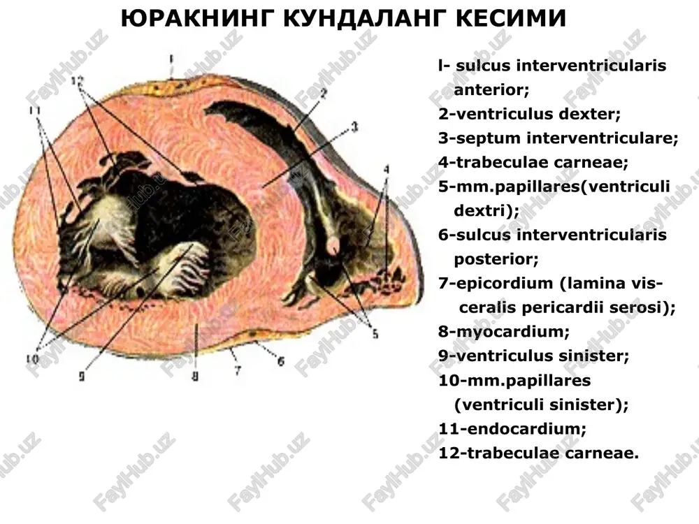 e ogeiasectanennoro cmopuymsweroca xranaha; 8) sunrstit xnanan wna starr—edwards icrosoft photo «af bile edt view image effects window help [ds o/ss/sm blom 218) x q2u\o 4 bho 7 buewnnii reneparop «eogwtens purity ¢ bhytphbenhn snektpoaom. arson (108.144) selection: 00362.448 win 363.449 aniye||| ay 22 ss (sl fe] gi gb) || (bjoseop-cra..|[@microsort .. (sd) kuenayiray | ]a0s | tena | |/ 15:28