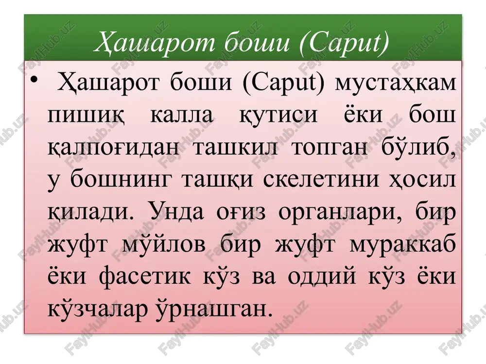 eriqanot ustligi, pt – pterostigma. qorin qorin hasharot tanasining uchinchi bo'limi hisobla-nadi. u bir-biriga o'xshash segmentlardan tashkil topgan. qorin segmentlari ko'kraknikiga nisbatan ancha sodda bo'lib, yuqori yarim xalqa tergitdan va ostki yarim xalqa sternitdan iborat. bu xalqalar tananing yon tomoni bo'ylab yumshoq pleyralar vositasida birikadi. qorinchiq o'n bitta segmentdan iborat, ammo evolyutsiya jarayonida qorin segmentlarining soni ayrim hasharotlarda juda qisqarib, atigi to'rt-beshtadan iborat bo'lib qolgan. qorinchiqning viii va ix segmentlarida tashqi jinsiy ortiqlar yoki genitaliyalar bo'ladi. erkaklardagi kopulyativ a'zo, bir qator hasharotlarning urg'ochilaridagi tuxumdon shular jumlasidandir. hasharotlardagi tserka, grifelka, to'g'ri qanotlilarning tuxumdoni, parda qanotlilarning nishi (nayzasi) qorinchiq oyoqlarining shakli o'zgargan nishonalaridir. hasharotlar anatomiyasi reja: hasharotlarning ovqat hazm qilish sistemasi hasharotlarning chiqarish sistemasi qon aylanish sistemasi qon aylanish sistemasi asab (nerv) sistemasi hasharotlarning ovqat hazm qilish sistemasi hasharotlarning ovqat hazm qilish tizimi og'iz teshigidan boshlanadi. undan keyin xalqum va qizilo'ngach keladi. u hasharotlarning ko'pchilik turlarida kengaygan yoki bo'rtib chiqqan bo'lib, uni …