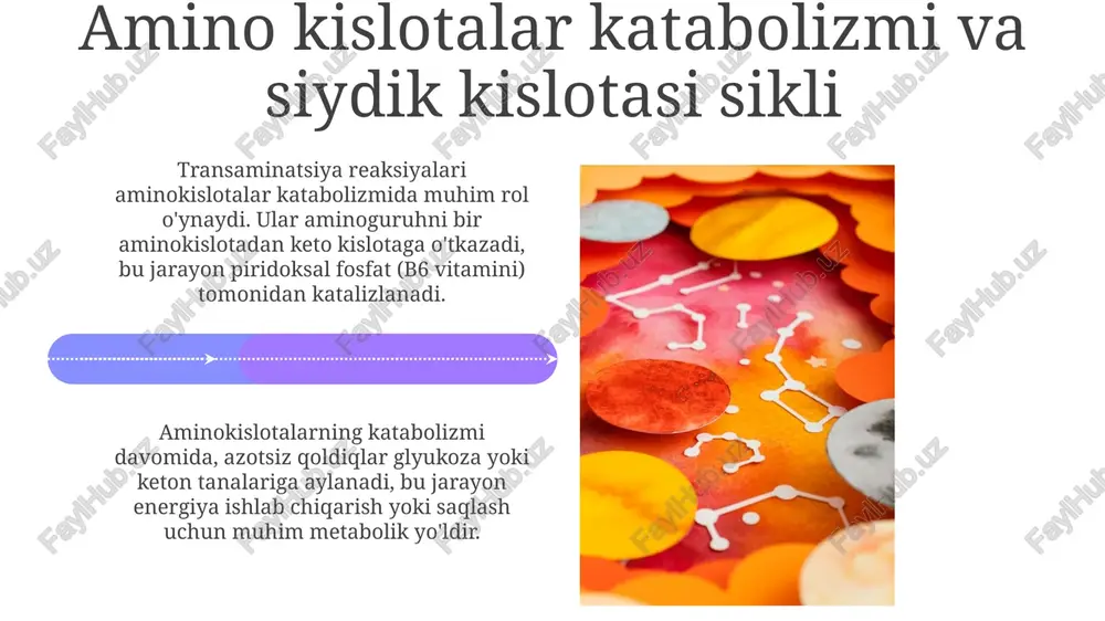 katabolizmning umumiy yo’llari - Page 4