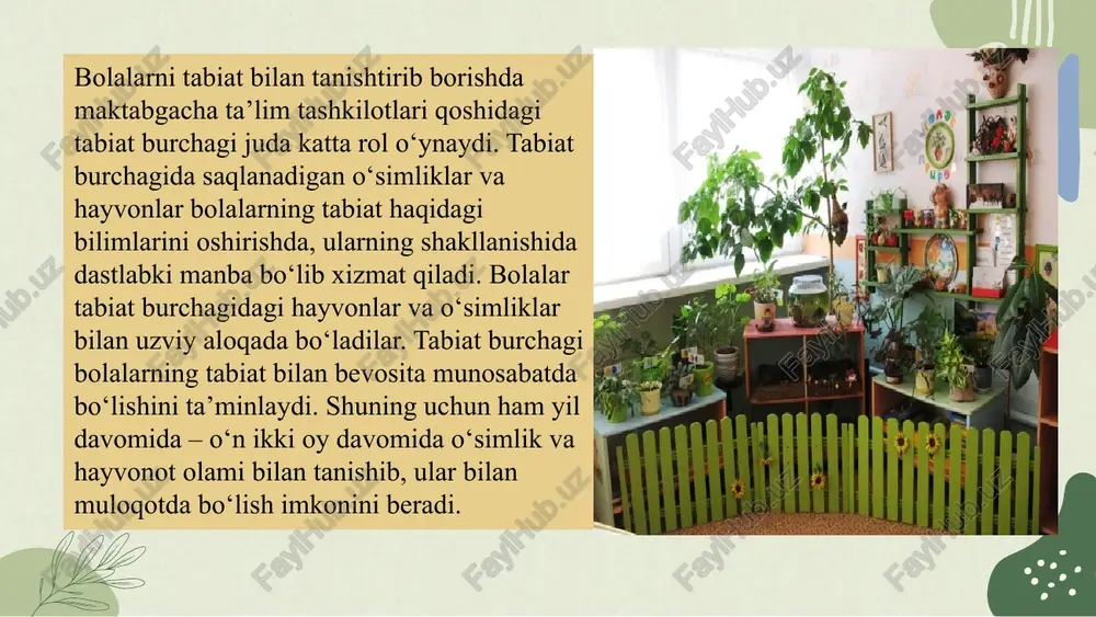 o‘nikmalari rivojlantiriladi. katta va tayyorlov guruhlarda esa bolalar kuzatish, taqqoslash, klassifikatsiyalash ko‘nikmalarini egallab, elementar biologik bilimlarga ega bo‘ladilar. shuningdek, o‘simlik va hayvonlarning o‘sishi, rivojlanish bosqichlari hamda fasllarga bog‘liqligi haqida tushunchalar beriladi. maktabgacha ta’lim tashkilotlarida bolalarni tabiat bilan tanishtirish, yilning turli fasllarida unda yuz beradigan o‘zgarishlar haqida ma’lumot berish o‘quv-tarbiya jarayonining muhim yo‘nalishlaridan biri hisoblanadi. bu jarayon orqali bolalarda tabiat hodisalarini tushunish, atrof-muhitga qiziqish, kuzatish malakasi, mantiqiy fikrlash qobiliyati, tirik mavjudotlarga mehr bilan qarash, tabiat go‘zalligidan zavqlanish kabi ijobiy fazilatlar shakllanadi. tabiatga nisbatan mehr, uni ehtiyot qilish, jonivorlar haqidagi g‘amxo‘rlik, ekologik madaniyat va ong uyg‘otish bilan birga, bolalarda vatanparvarlik, mehnatsevarlik, tabiat boyliklarini asrash kabi tushunchalar ham mustahkamlanib boradi. maktabgacha ta’lim tashkilotlarida yaratilgan tabiat burchaklari bolalarning bu boradagi bilim va ko‘nikmalarini boyitishda muhim o‘rin tutadi. tabiat burchagida saqlanayotgan tirik mavjudotlarni bolalar har kuni kuzatish imkoniga ega bo‘ladilar. bu esa tarbiyachining ishini ancha yengillashtiradi. tarbiyachi rahbarligida bolalar jonivorlarni parvarish qilish, ularning xatti-harakatlarini muntazam …