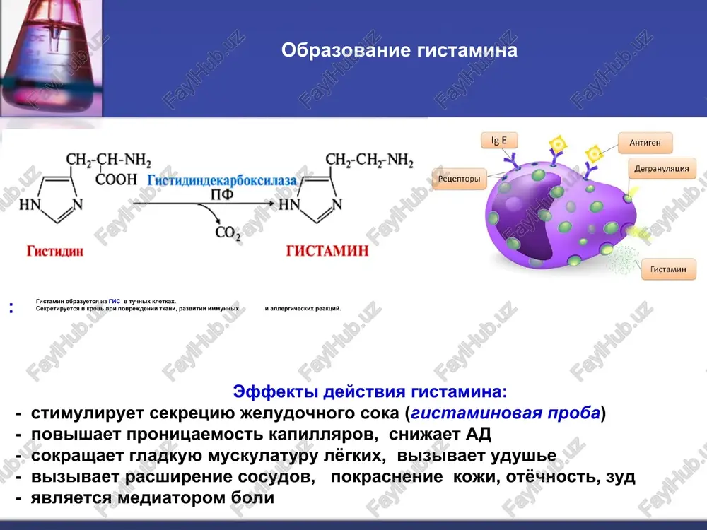 azani s geneticheskimi narusheniyami nekotorix iz etix putey. obmen ser i gli reaktsiyu obrazovaniya glitsina iz serina kataliziruet ferment serin - oksimetiltransferaza, kofermentom yavlyaetsya n4-folat (vitamin v9, folievaya kislota) osnovnoy put katabolizma glitsina u cheloveka takje svyazan s ispolzovaniem n4 – folata. metilenovaya gruppa -sn2- v metilen-n4-folate mojet prevrashatsya v drugie odnouglerodnie gruppi: serin ispolzuetsya dlya sinteza: • fosfolipidov • aminokislot (glitsina, tsisteina) glitsin yavlyaetsya predshestvennikom: • porfirinov (gema), • purinovix osnovaniy, • kofermentov, • glutationa i dr. obrazovanie i ispolzovanie odnouglerodnix fragmentov, obrazuyushixsya iz aminokislot. ser i gli – istochniki odnouglerodnix fragmentov dlya sinteza nukleotidov i nukleinovix kislot. folievaya kislota, vitamin v9 (vs) – nezamenimiy faktor pitaniya (ot lat. folium — list) istochniki: listovie ovoshi, mikroflora jkt, myaso, pechen i dr. gipovitaminoz u cheloveka voznikaet dostatochno redko. prichinami ego mogut poslujit: • nepravilnoe pitanie; • disbakterioz 50% v9 postavlyaet mikroflora jkt; • narushenie vsasivaniya folievoy kisloti v kishechnike; • …