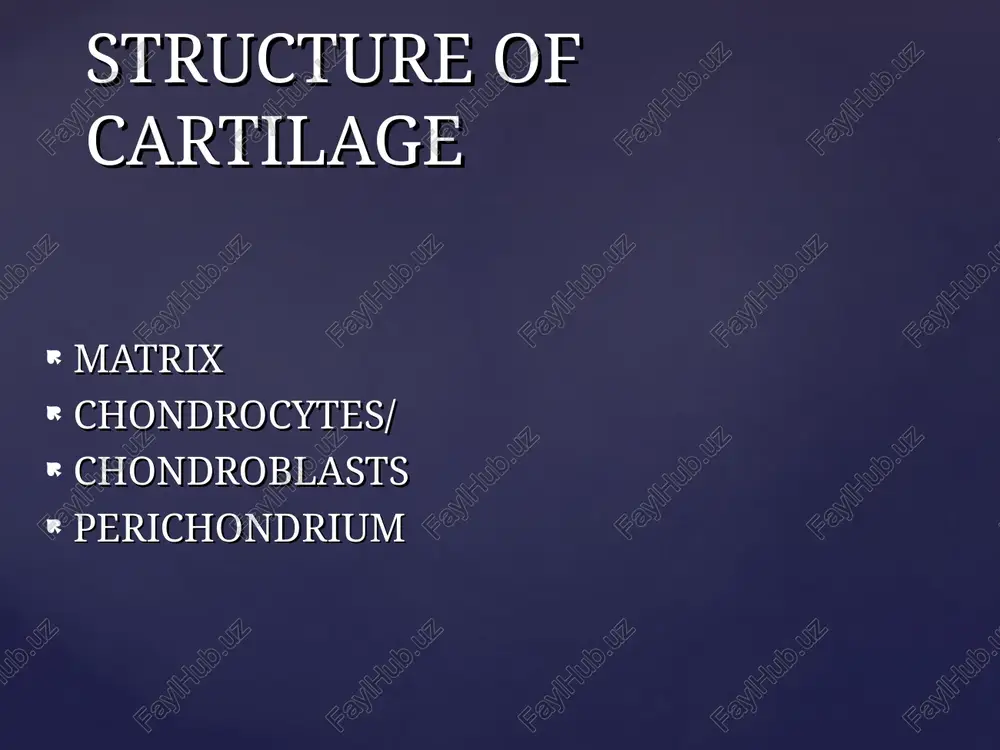 cartilage and bone - Page 4
