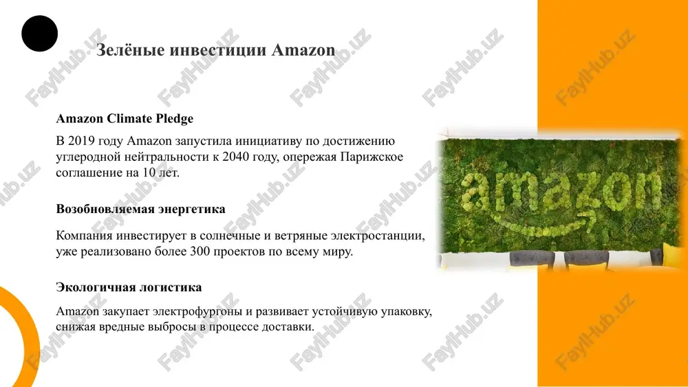 amazon: investitsionnie napravleniya - Page 4