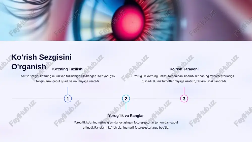 sezgi turlari va uning psixofizologik asoslari - Page 4